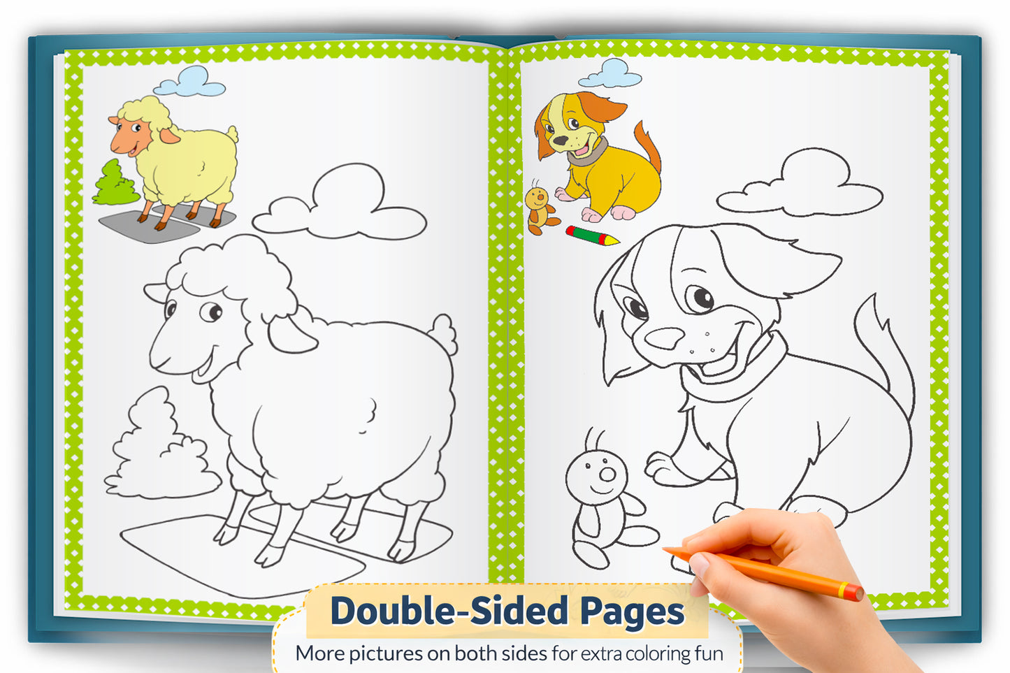 Copy to Colour – Animals Book | Learn & Color Animal Activity Book for Kids