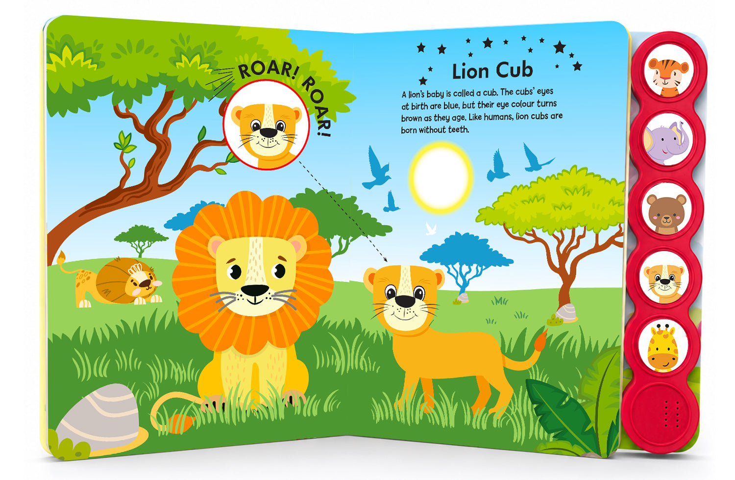 Baby Animals Sound Book - Bear Cub Page