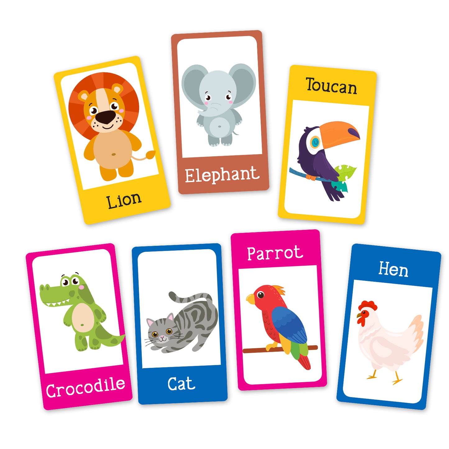Animal flash cards