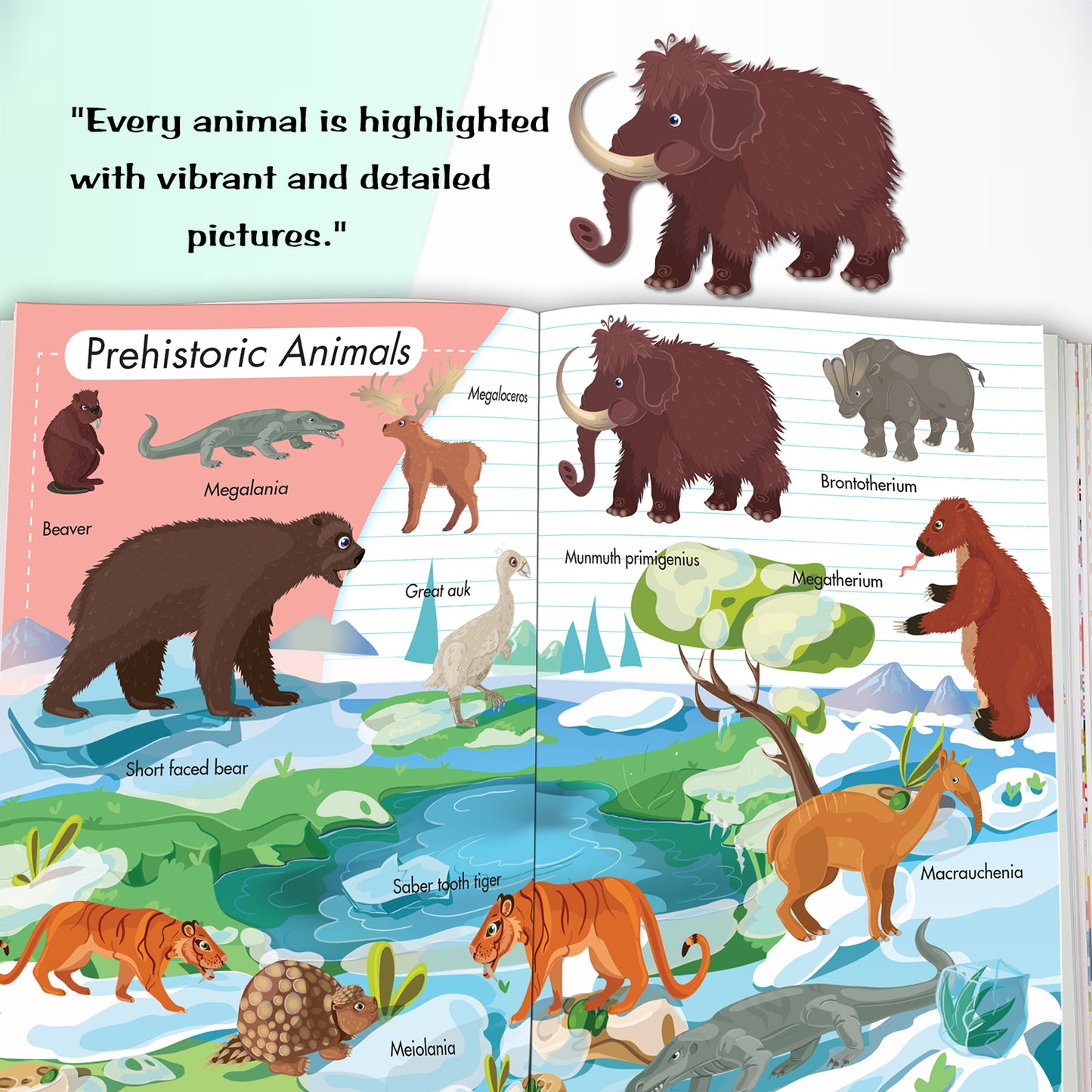 My first 1000 animal world