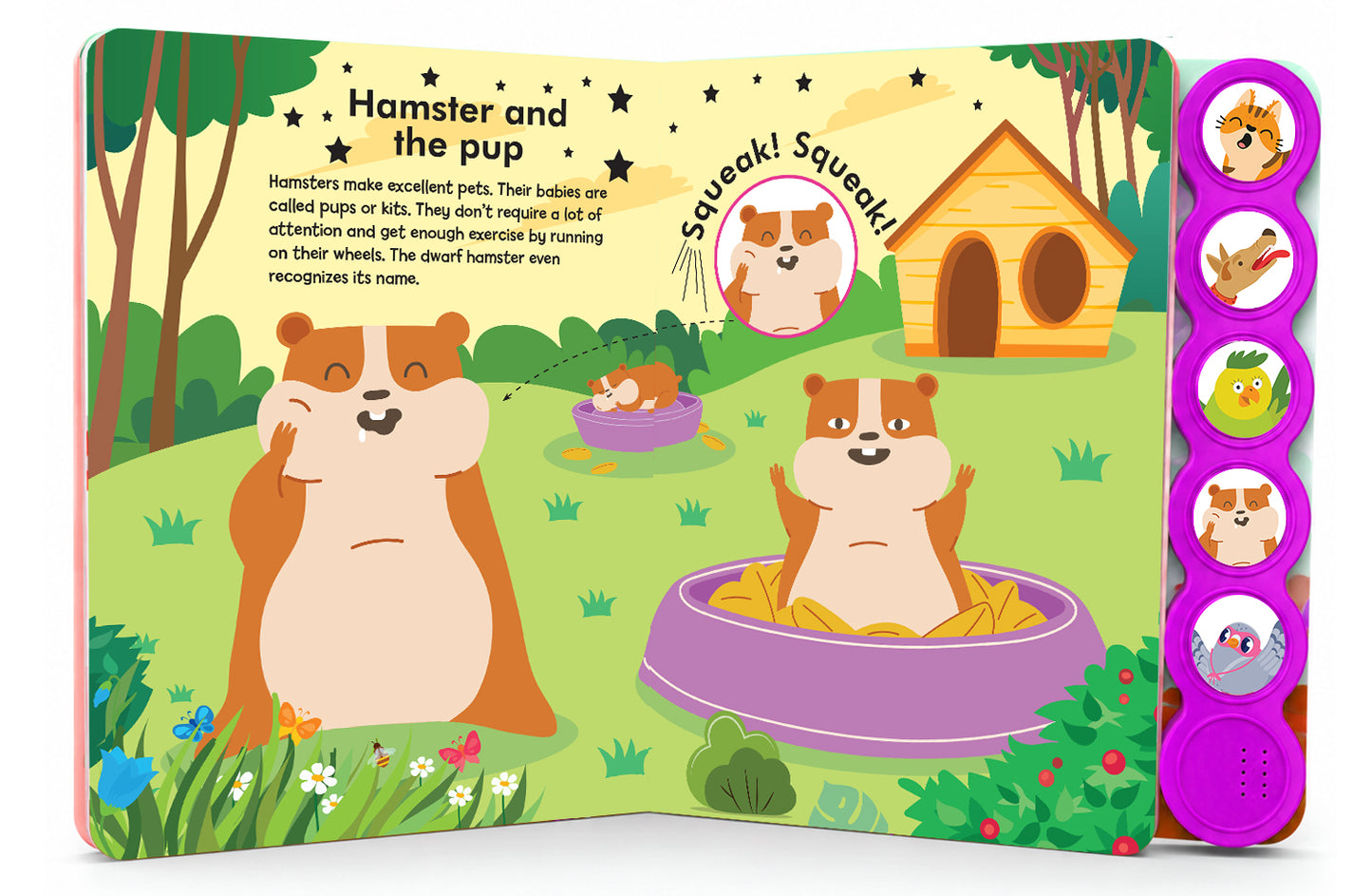 Pet Animals Sound Book - Polly the Parrot Page & Features