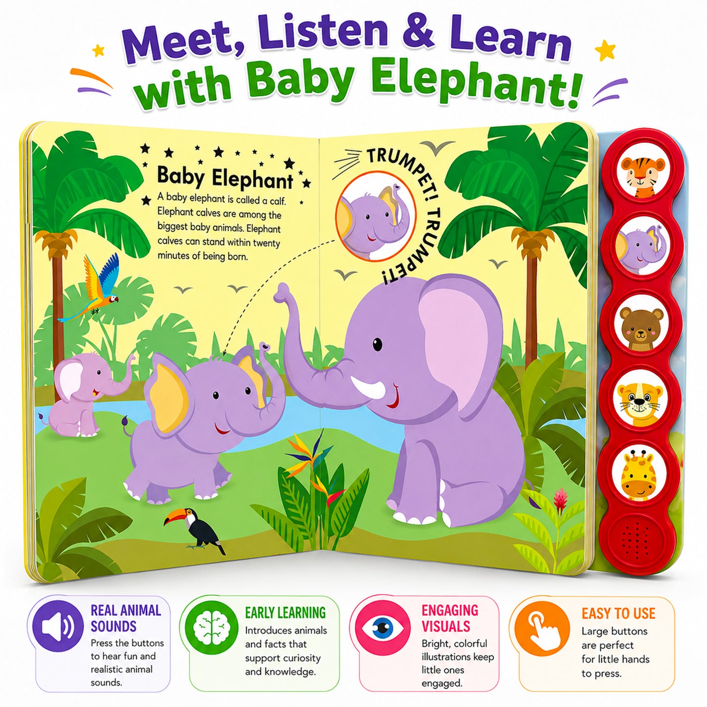 Baby Animals Sound Book - Parent & Child Reading Together