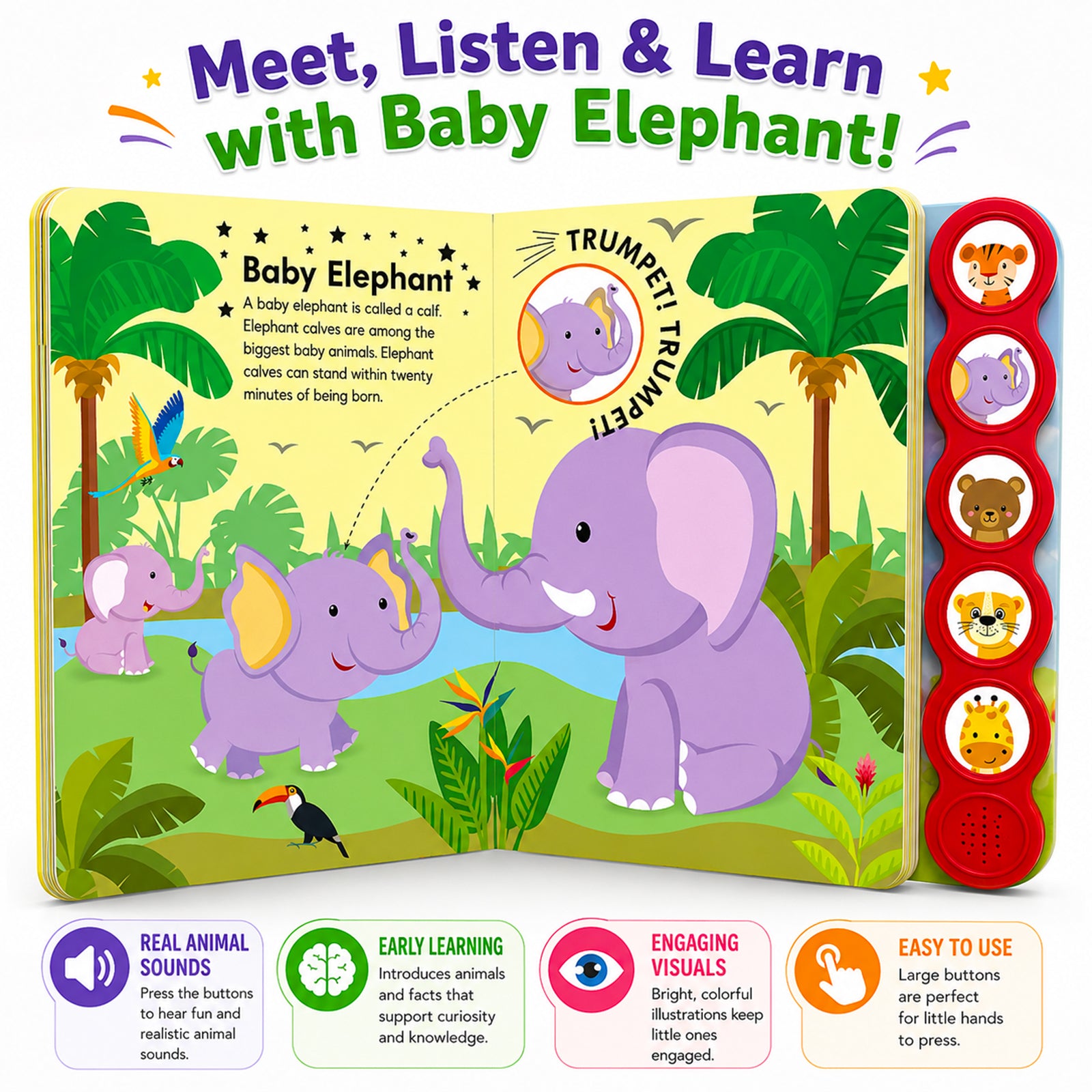 Baby Animals Sound Book - Parent & Child Reading Together