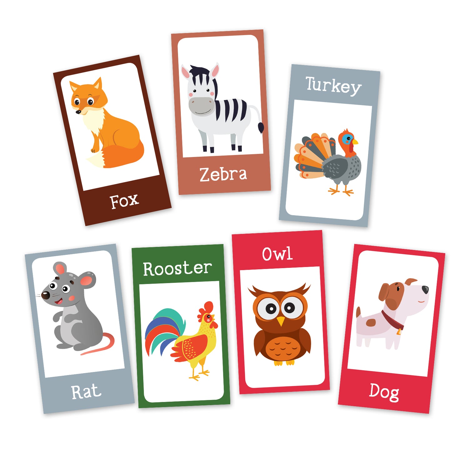 Animal flash cards