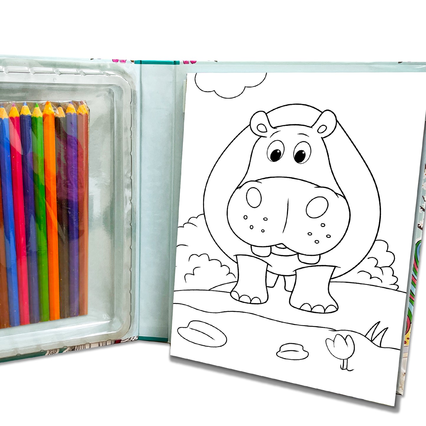 Animal Doodle Art Kit | Animal Doodle Coloring & Creative Activity Kit for Kids | Fun Art & Craft Learning Kit