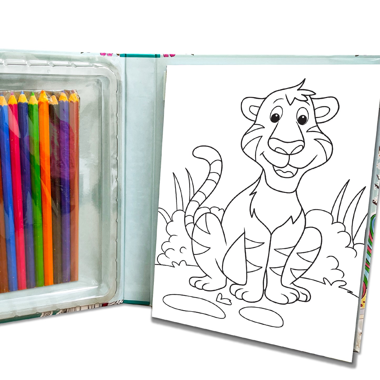 Animal Doodle Art Kit | Animal Doodle Coloring & Creative Activity Kit for Kids | Fun Art & Craft Learning Kit