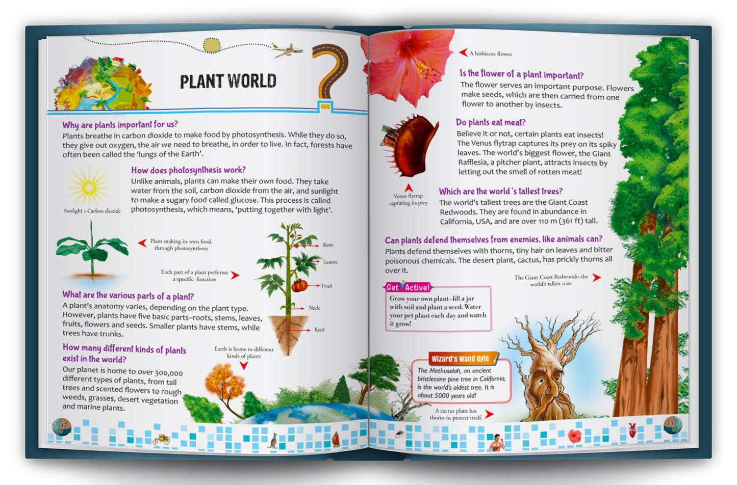 A Big Book of Questions | Illustrated Knowledge Book for Curious Kids | Educational Hardcover Book