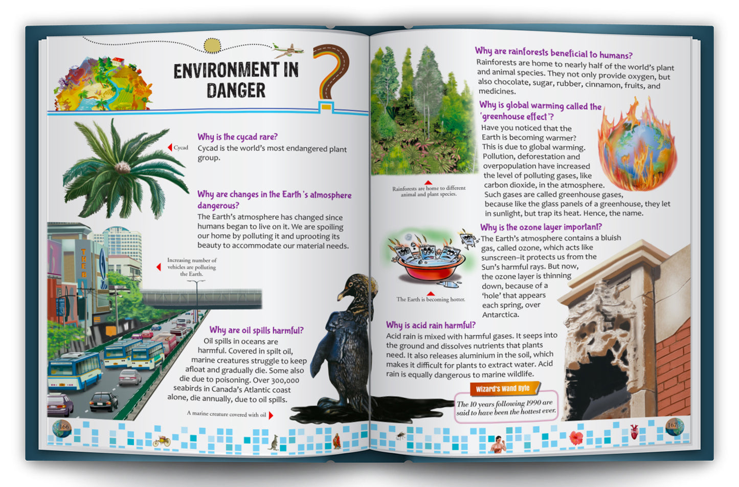 A Big Book of Questions | Illustrated Knowledge Book for Curious Kids | Educational Hardcover Book