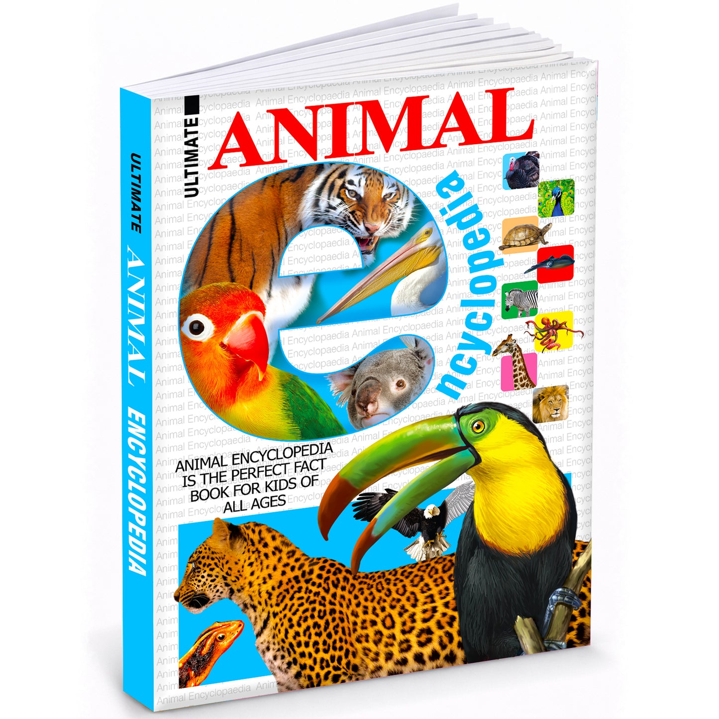 Ultimate animal encyclopedia