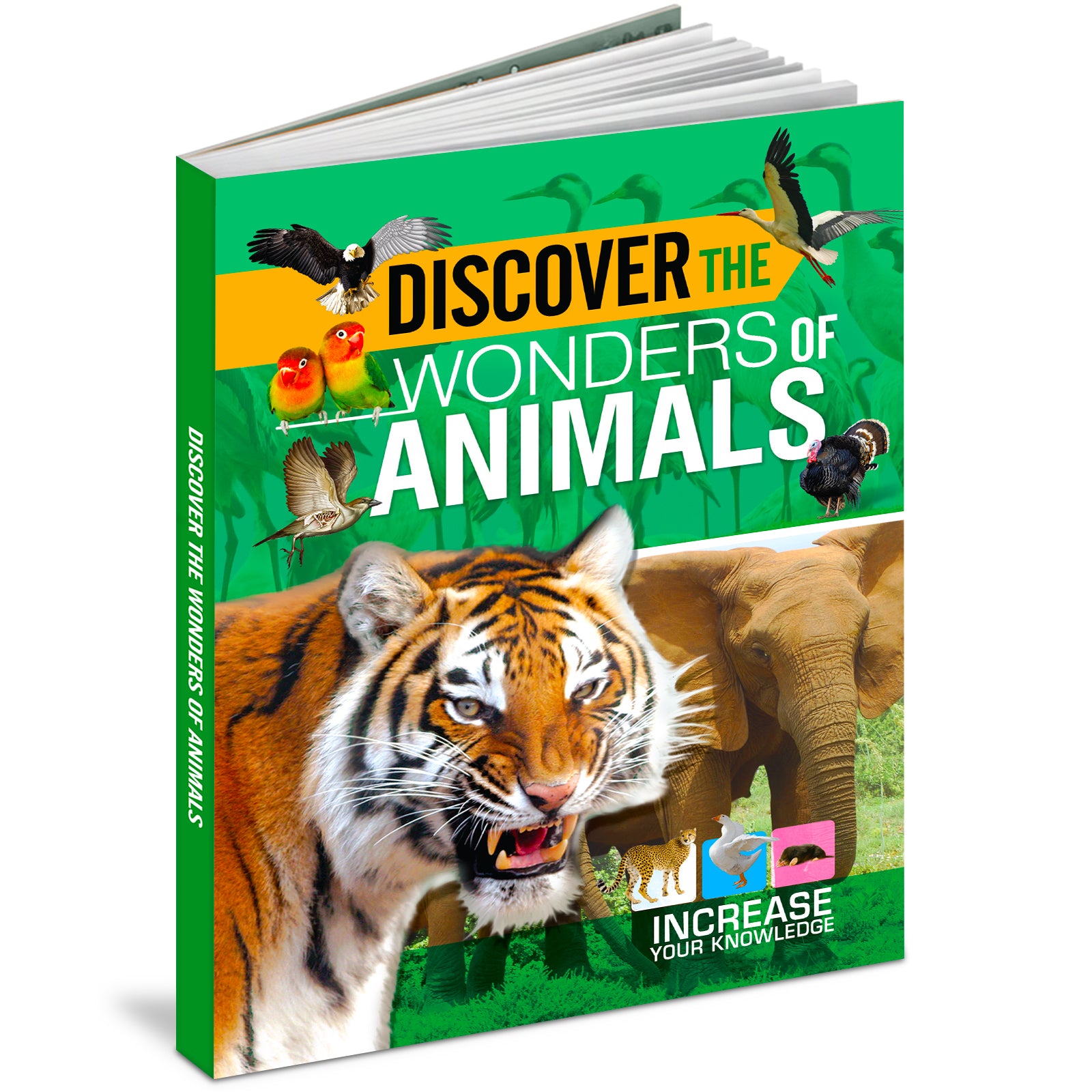 Discover the Wonders of Animals - Front cover 3D view
