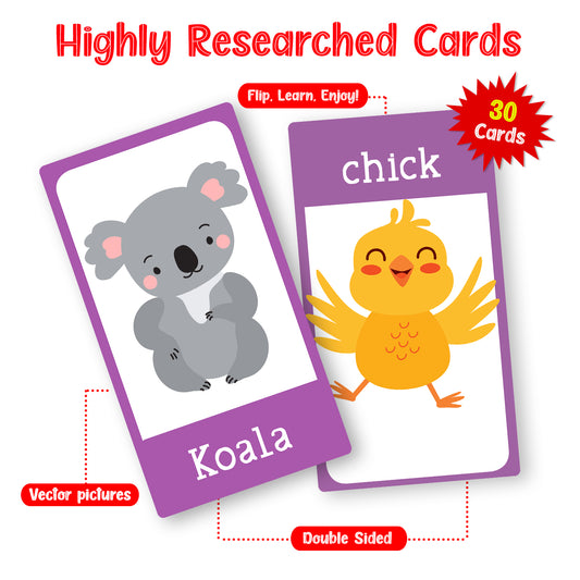 Animal flash cards