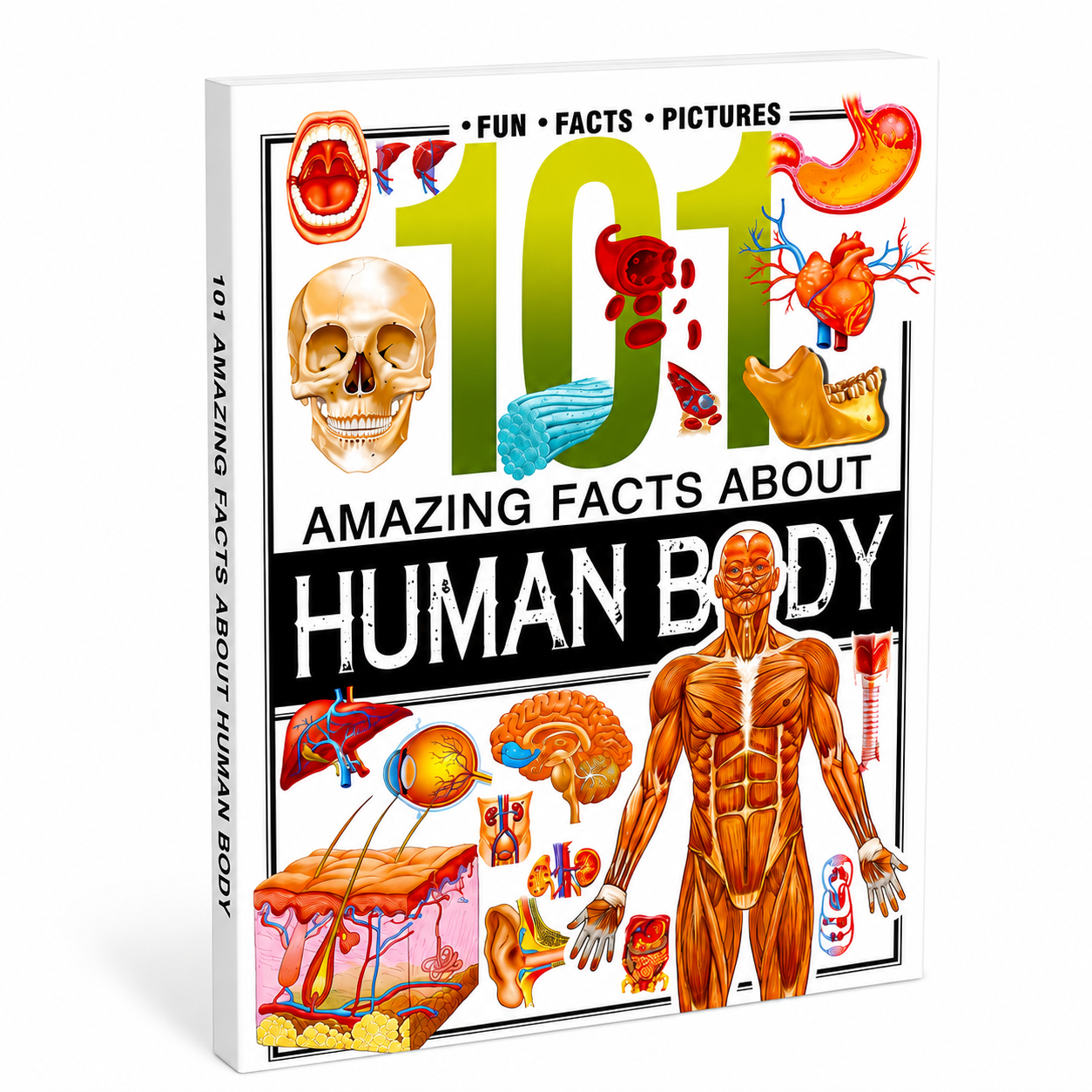 101 Amazing Facts About Human Body | Picture Knowledge Book for Kids | Educational Science Book