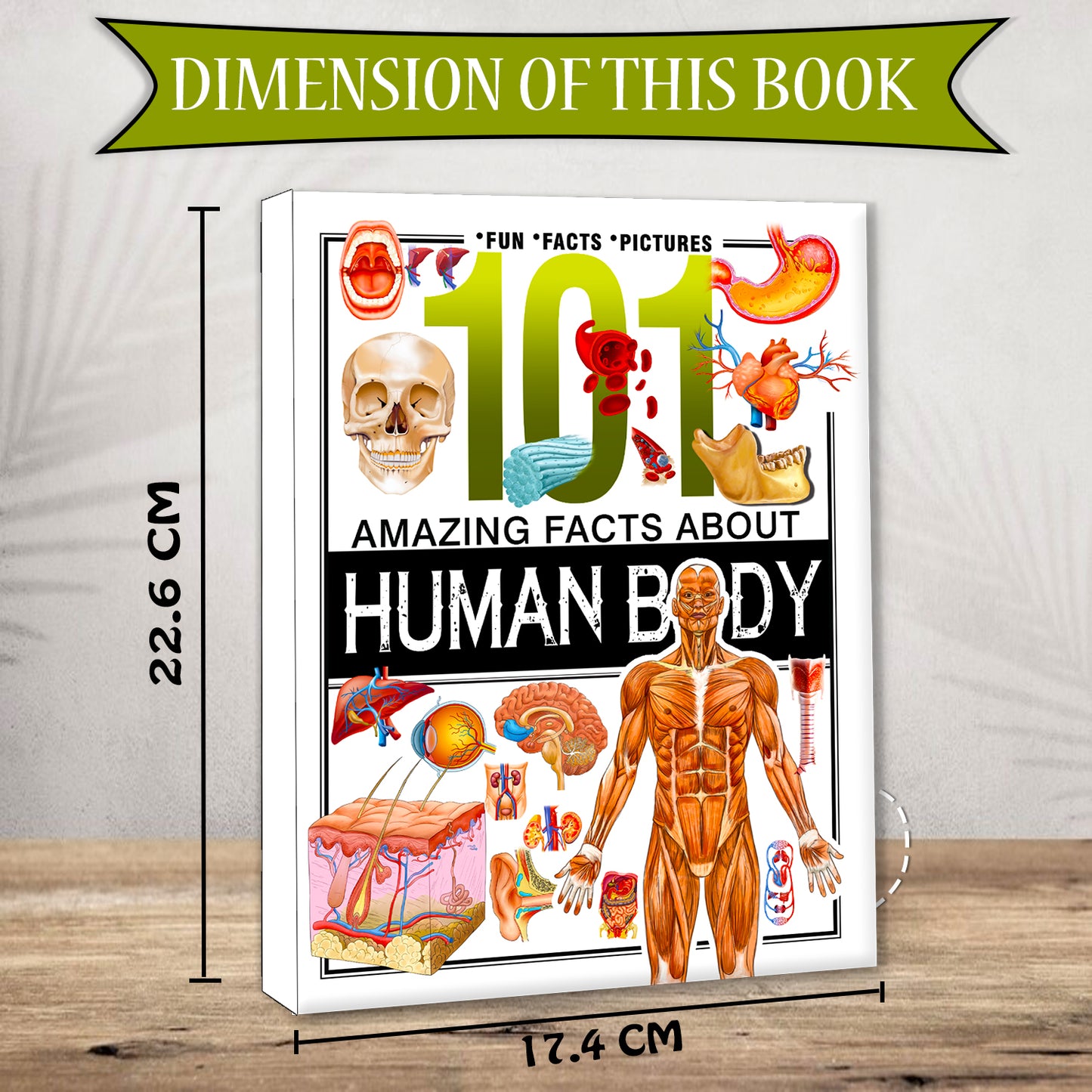 101 Amazing Facts About Human Body | Picture Knowledge Book for Kids | Educational Science Book