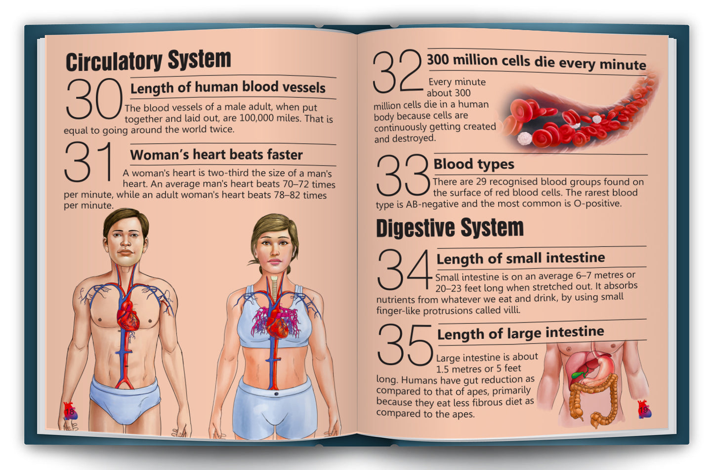 101 Amazing Facts About Human Body | Picture Knowledge Book for Kids | Educational Science Book