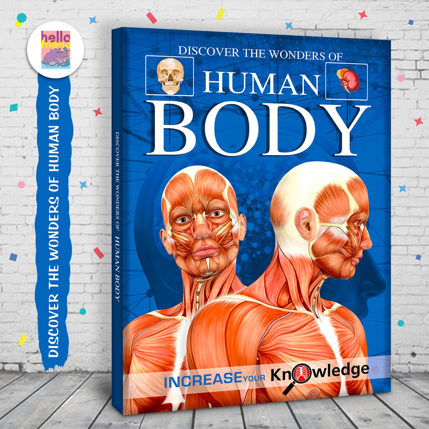 Discover the Wonders of Human Body - Dimension 17x24.5cm