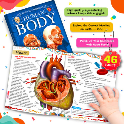 Discover the Wonders of Human Body - Interior spread Heart 46 pages