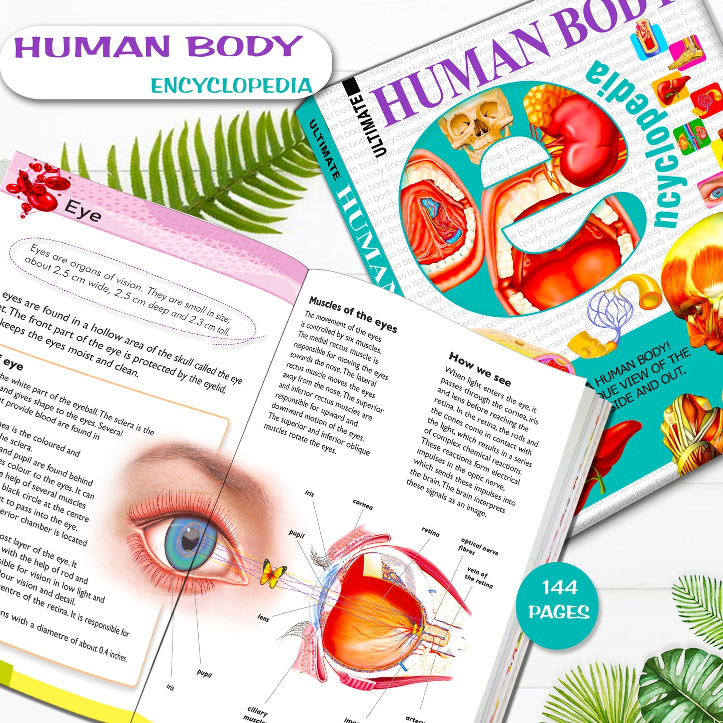Ultimate Human Body Encyclopedia - Inside pages 144 pages eye spread