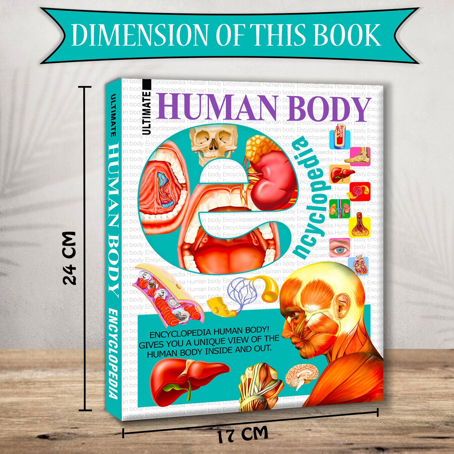 Ultimate Human Body Encyclopedia - Dimension 17cm x 24cm