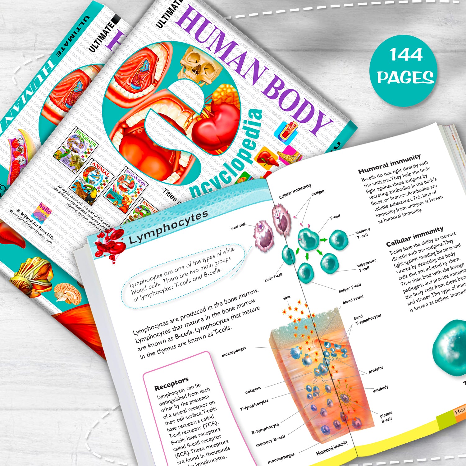 Ultimate Human Body Encyclopedia - Inside pages 144 pages lymphocytes spread
