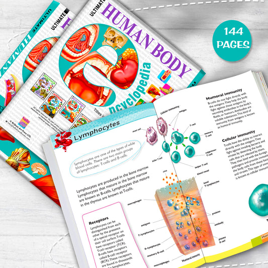 Ultimate Human Body Encyclopedia - Inside pages 144 pages lymphocytes spread
