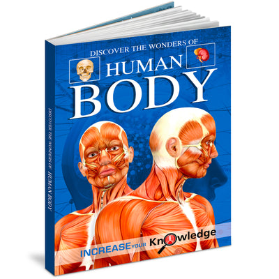 Discover the Wonders of Human Body | Illustrated Human Body Knowledge Book for Kids