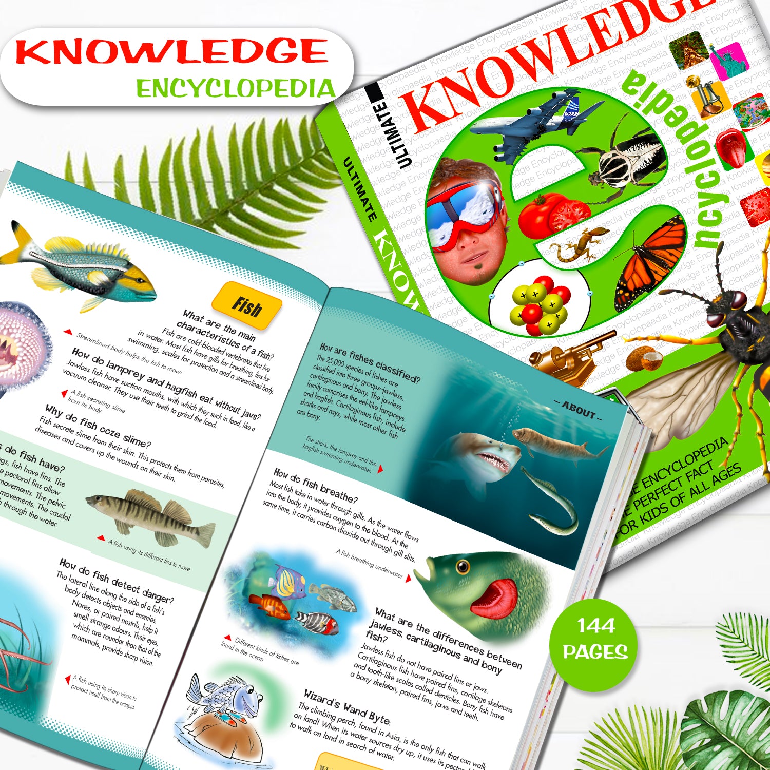 Ultimate Knowledge Encyclopedia - Inside pages 144 pages fish spread