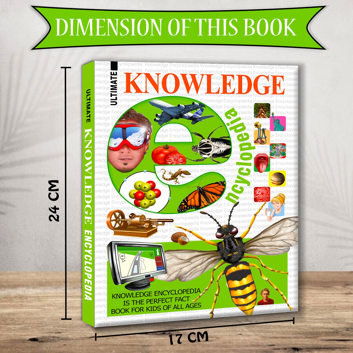 Ultimate Knowledge Encyclopedia - Dimension 17cm x 24cm