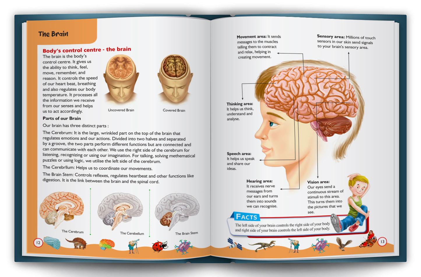 My First Book of Knowledge | Complete Illustrated Encyclopedia for Kids | Picture Knowledge Book