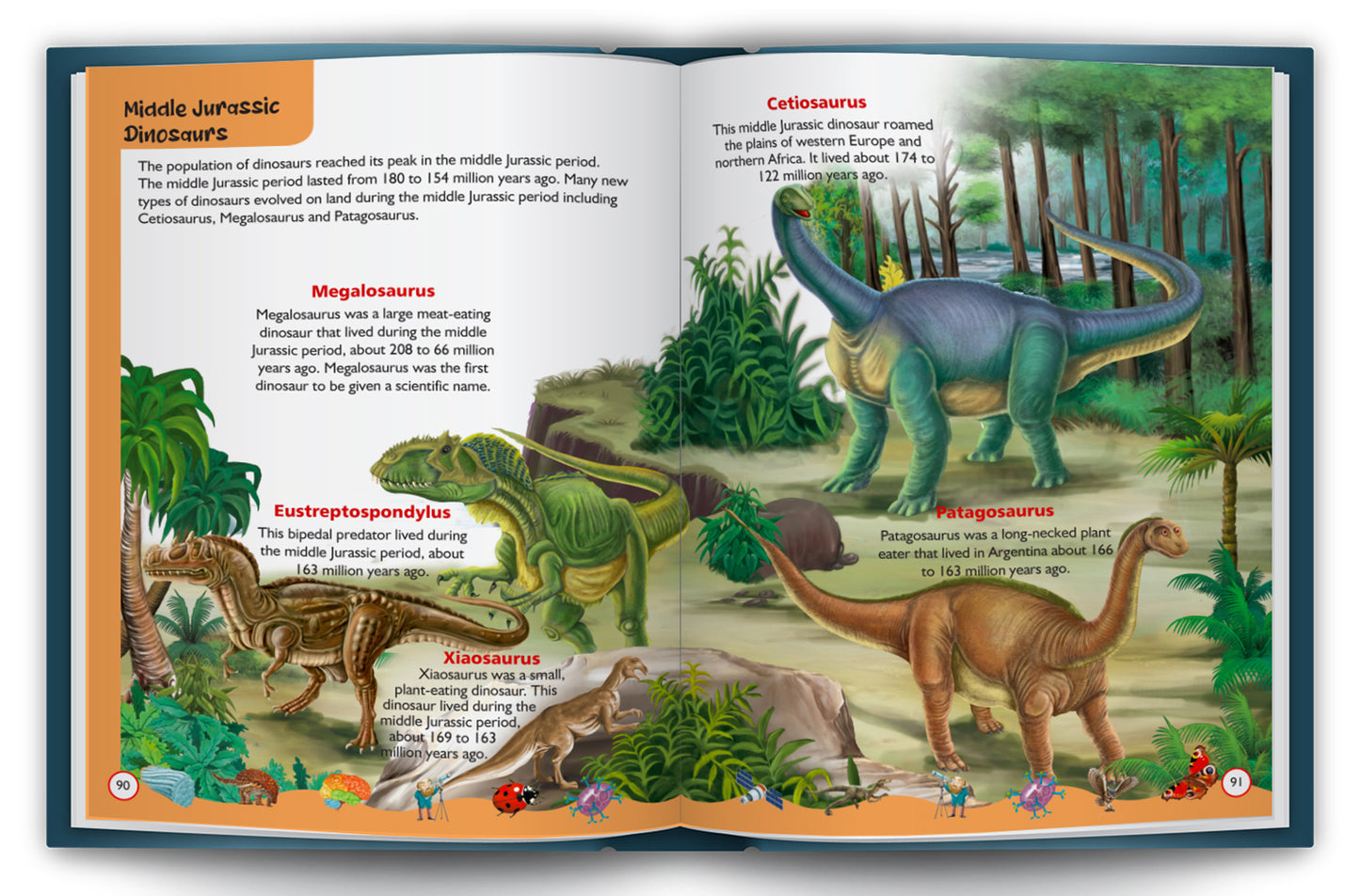 My First Book of Knowledge | Complete Illustrated Encyclopedia for Kids | Picture Knowledge Book