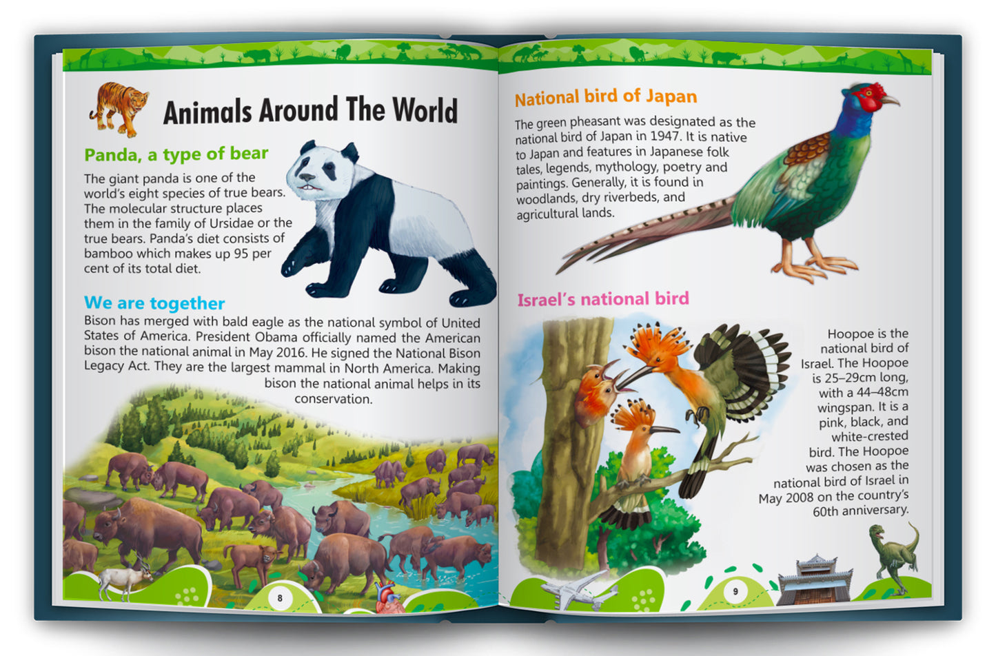 The Ultimate Book of Facts | Illustrated Encyclopedia for Kids | Picture Knowledge Book