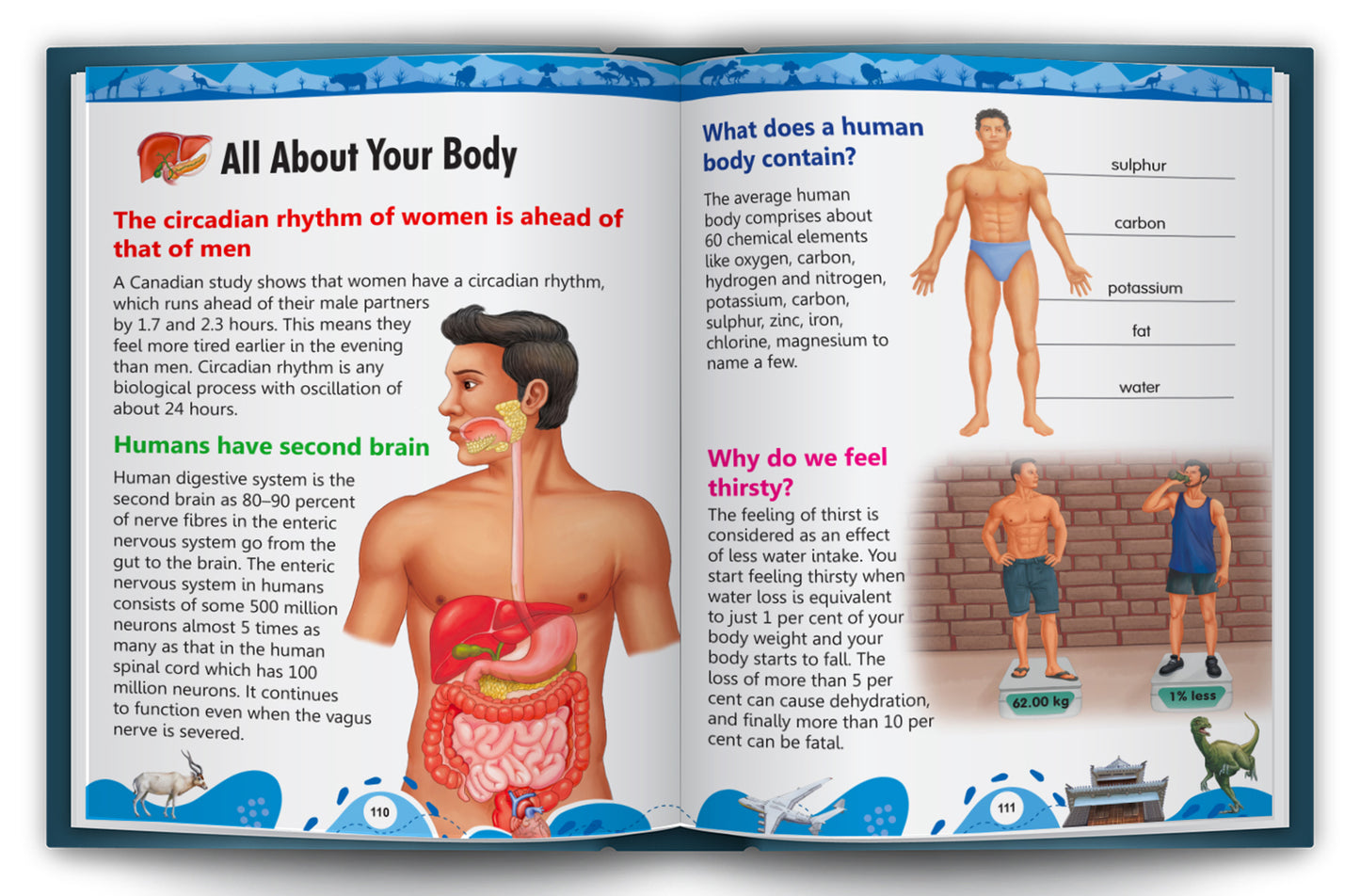 The Ultimate Book of Facts | Illustrated Encyclopedia for Kids | Picture Knowledge Book